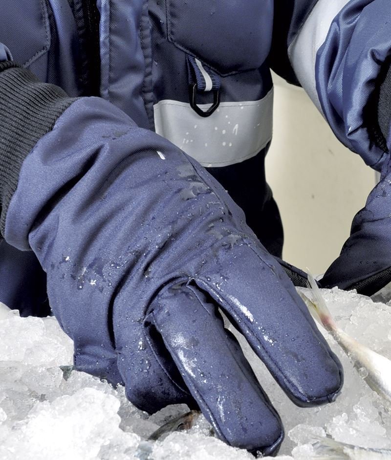 Γάντια Ψύχους Cofra Tundra - Image 2